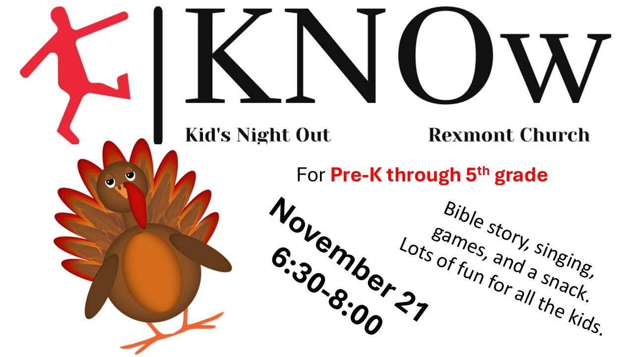 11 - November 11 - November