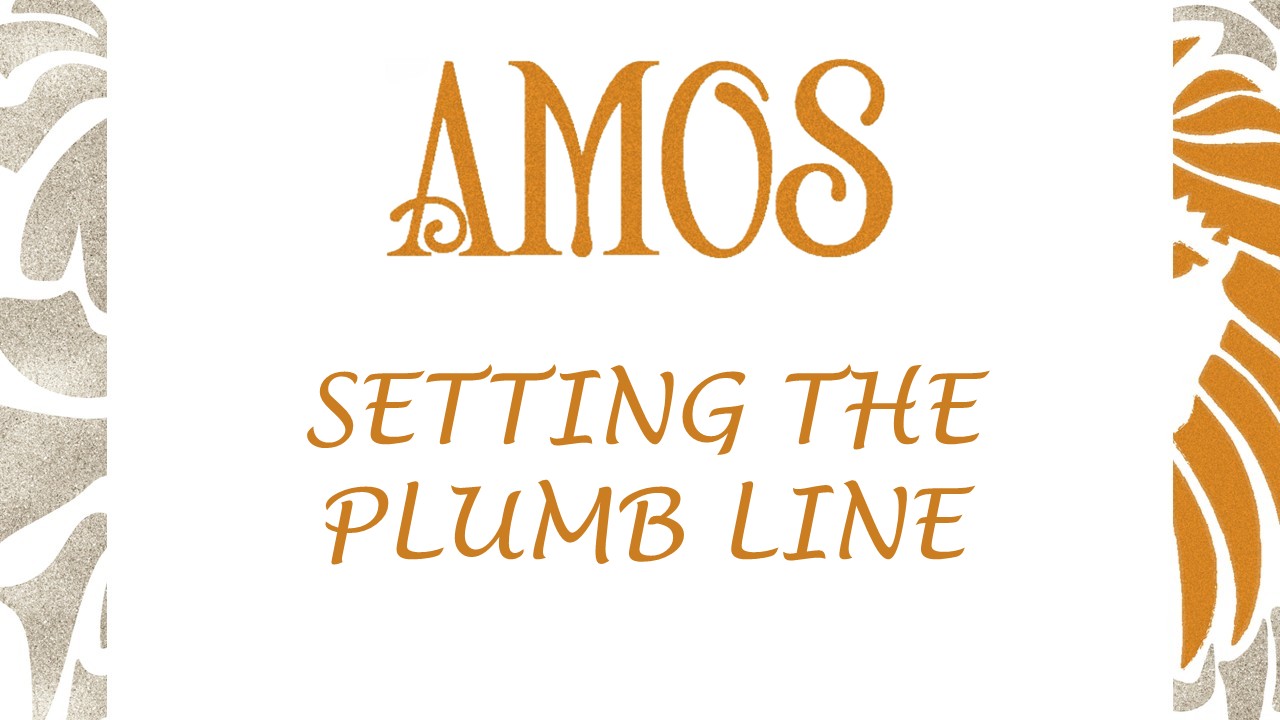 Plumb Line